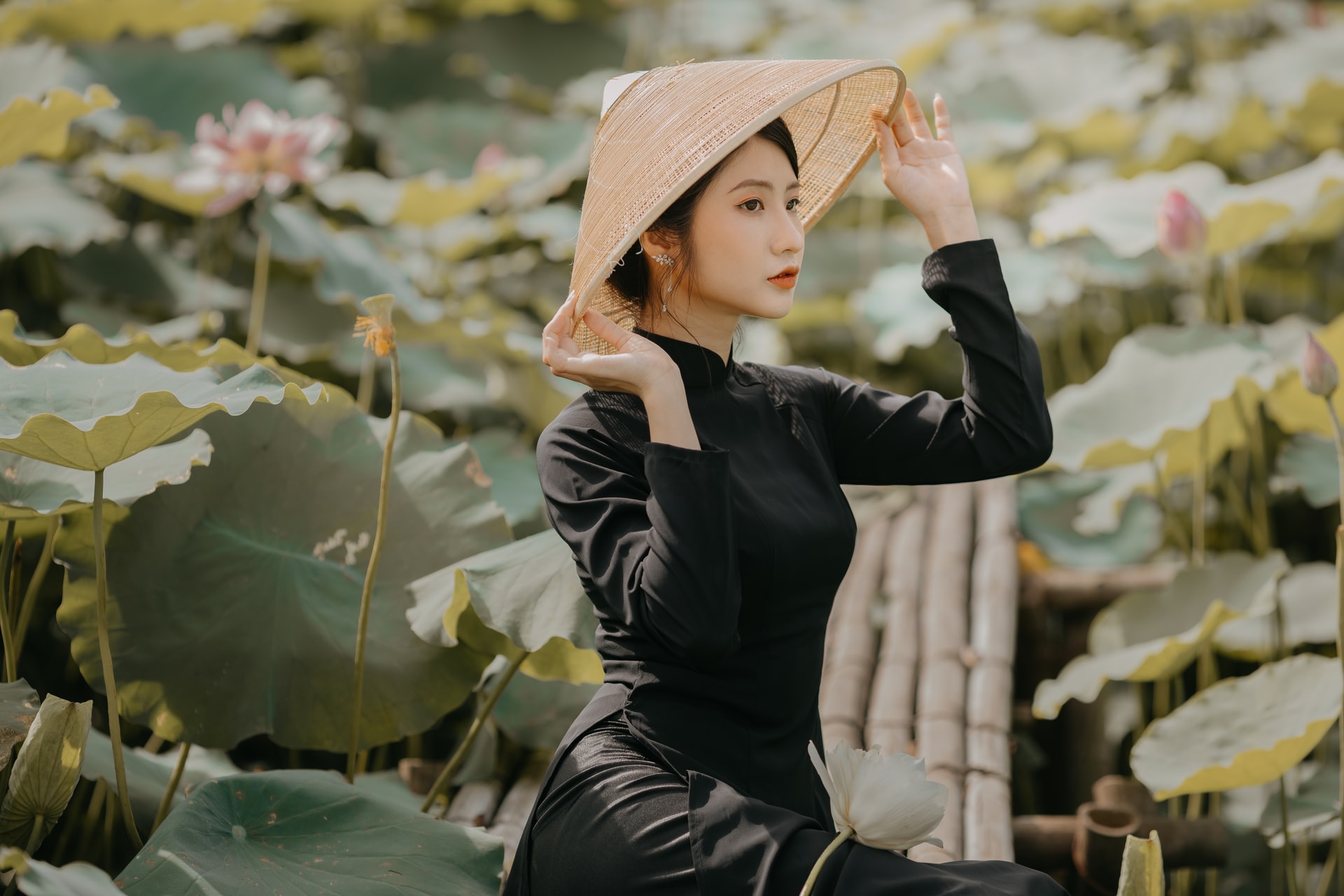 Vietnamese mail order bride cost